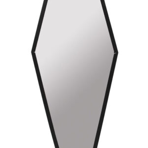 Coffin Mirror