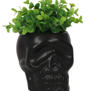Black Skull Plant Pot